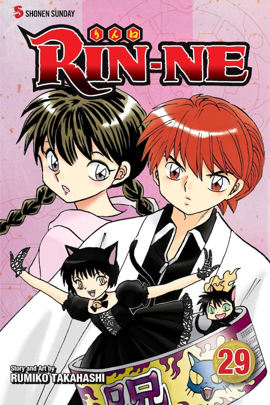 Couverture_RIN-NE, Vol. 29