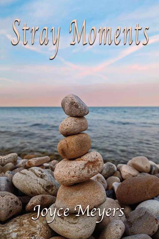 Front cover_Stray Moments