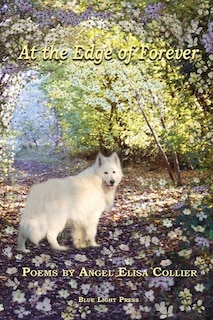 Couverture_At The Edge Of Forever