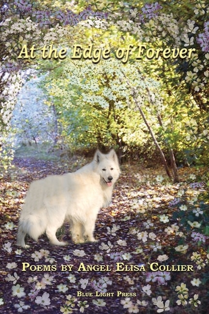 Couverture_At The Edge Of Forever