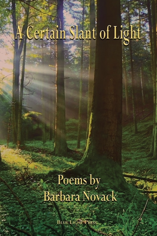 Couverture_A Certain Slant of Light