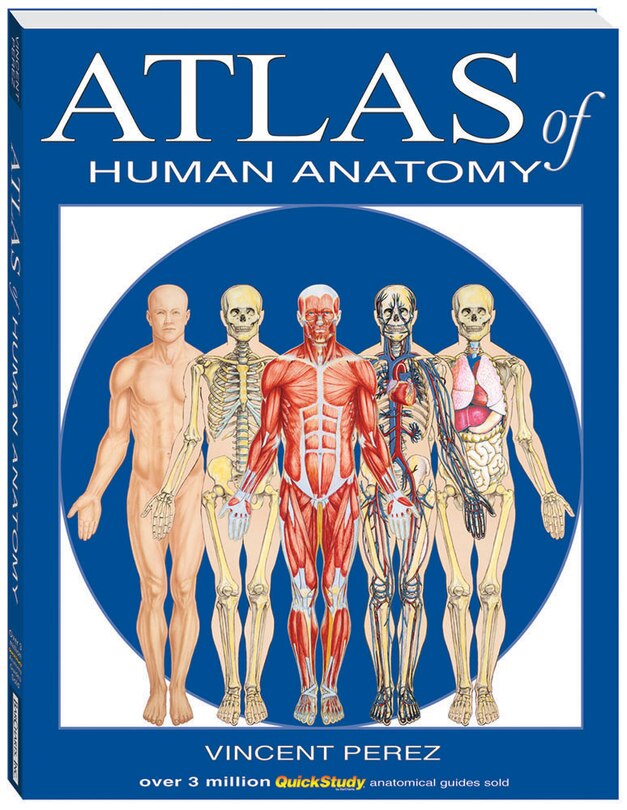 Front cover_Atlas Of Human Anatomy