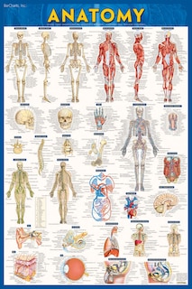 Front cover_Anatomy-laminated