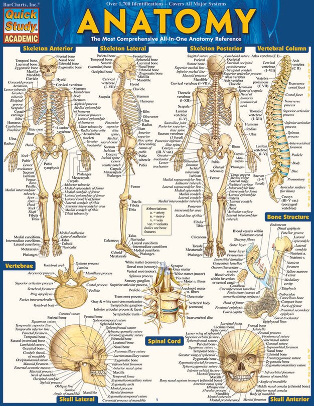 Front cover_Anatomy