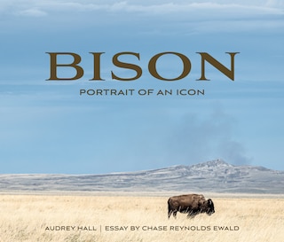 Bison: Portrait Of An Icon