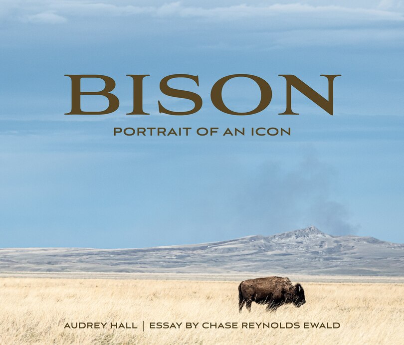 Front cover_Bison