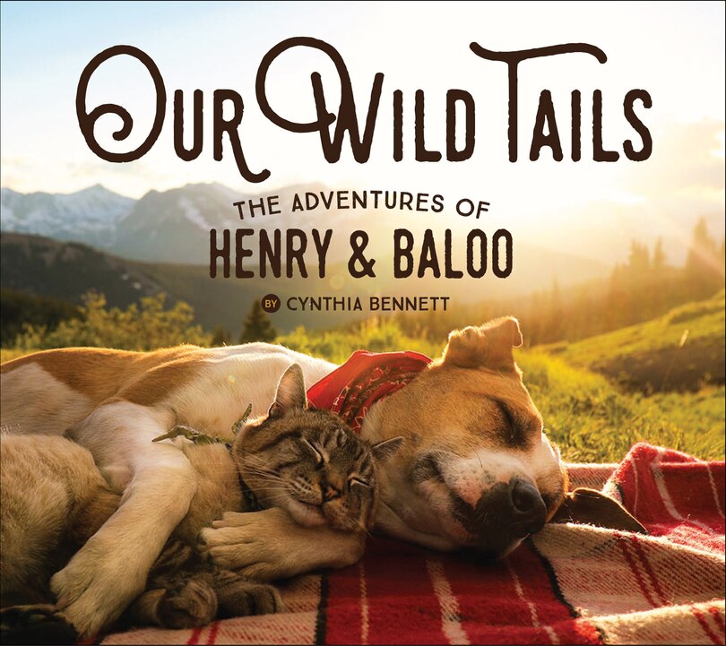 Front cover_Our Wild Tails