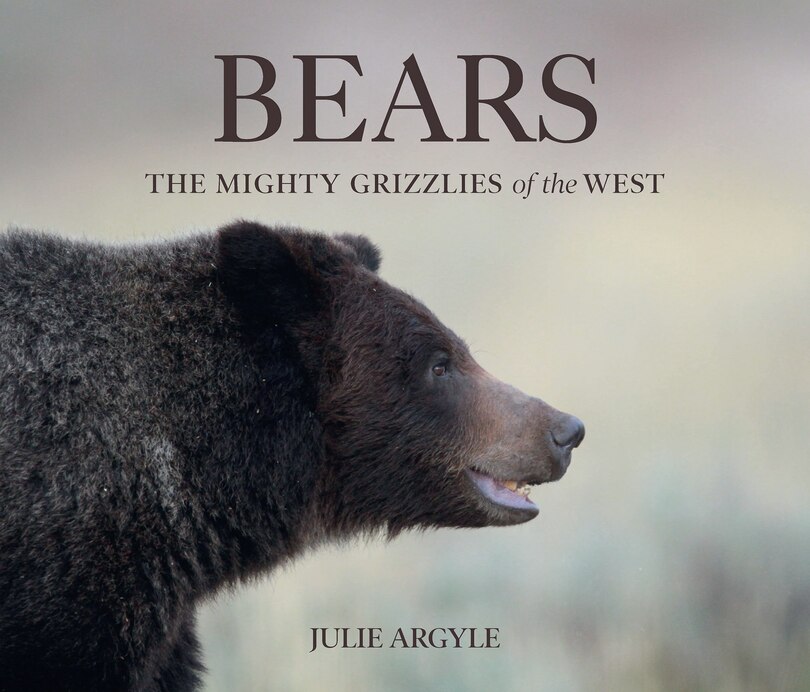 Front cover_Bears