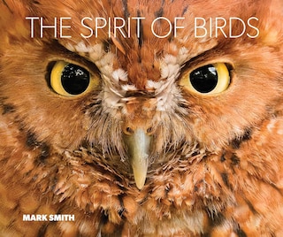 Front cover_The Spirit of Birds
