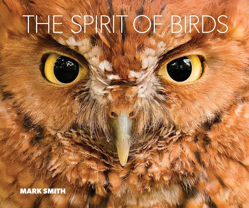 Front cover_The Spirit of Birds