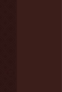 Front cover_The Passion Translation New Testament (2020 Edition) Brown