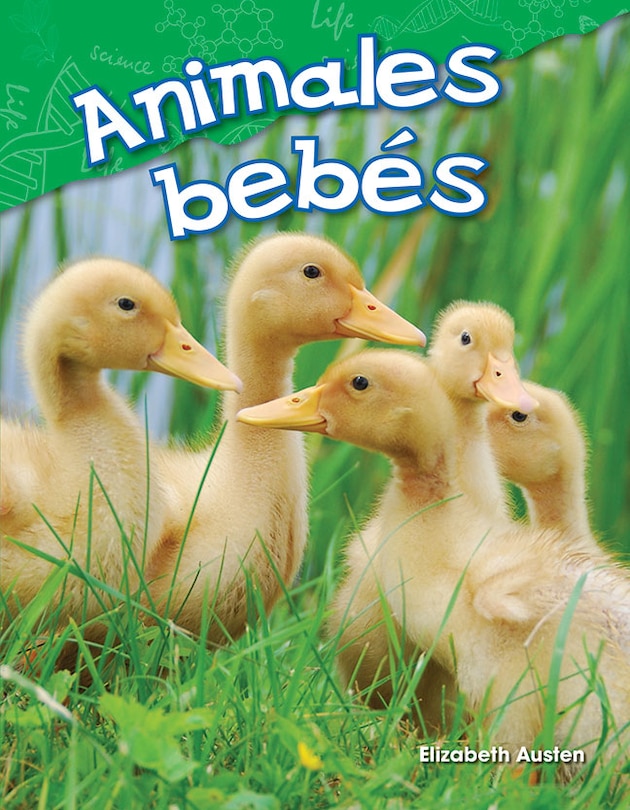 Couverture_Animales Bebés