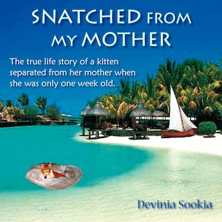 Couverture_Snatched From My Mother