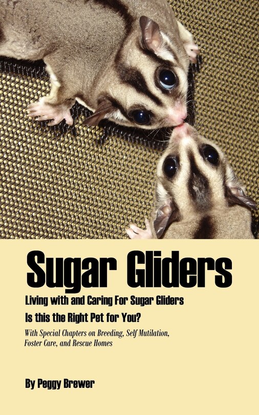 Couverture_Sugar Gliders
