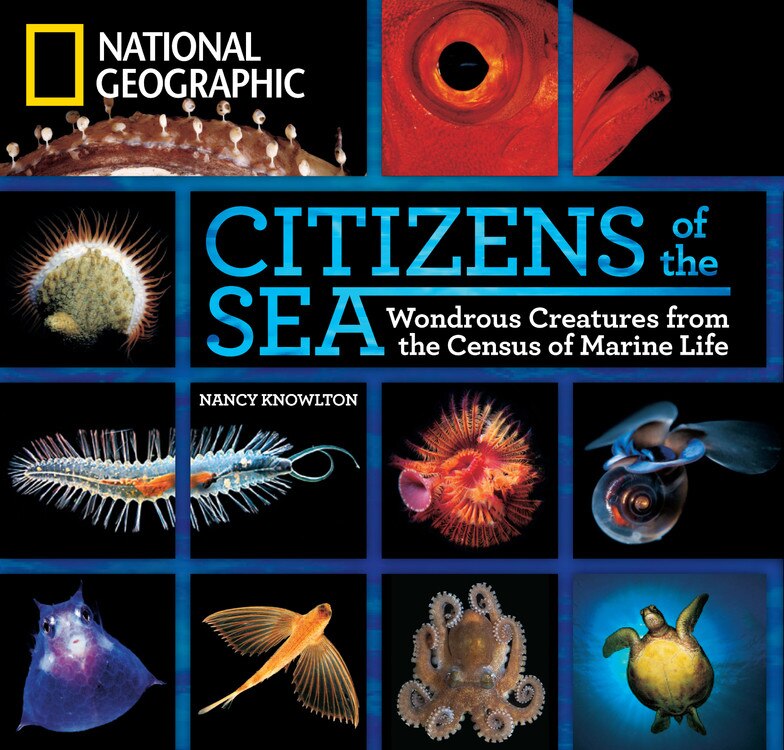 Front cover_Citizens Of The Sea