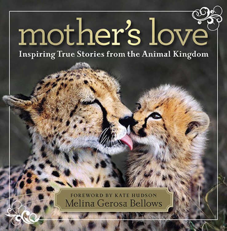 Couverture_Mother's Love