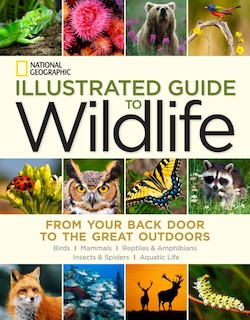 Front cover_National Geographic Illustrated Guide To Wildlife