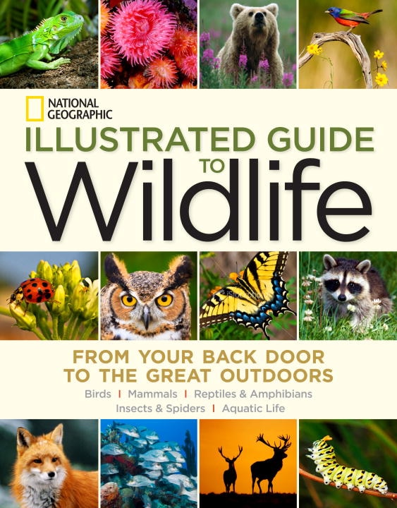 Front cover_National Geographic Illustrated Guide To Wildlife