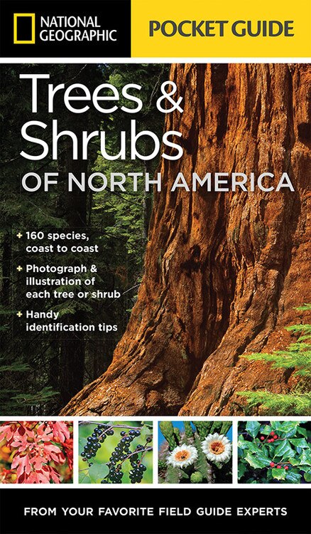 Couverture_National Geographic Pocket Guide To Trees And Shrubs Of North America