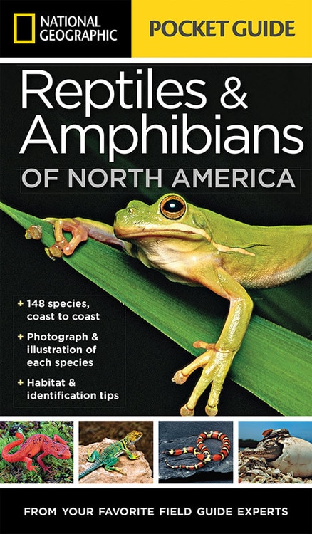 Front cover_National Geographic Pocket Guide To Reptiles And Amphibians Of North America