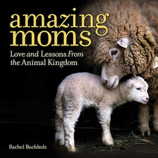 Couverture_Amazing Moms