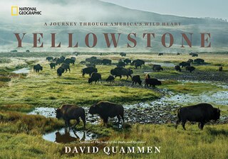 Couverture_Yellowstone