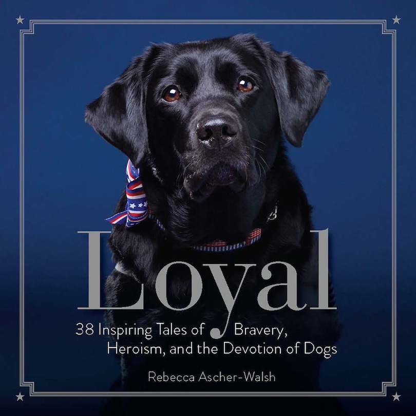 Couverture_Loyal