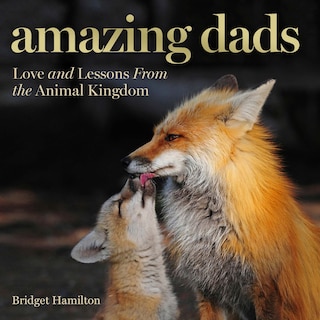 Front cover_Amazing Dads