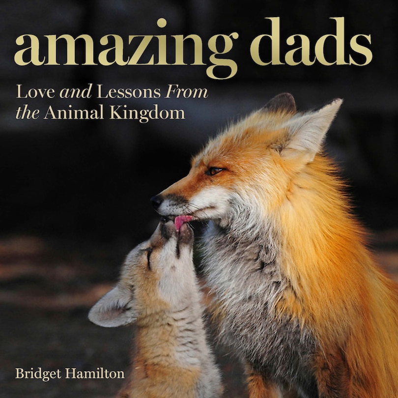 Front cover_Amazing Dads