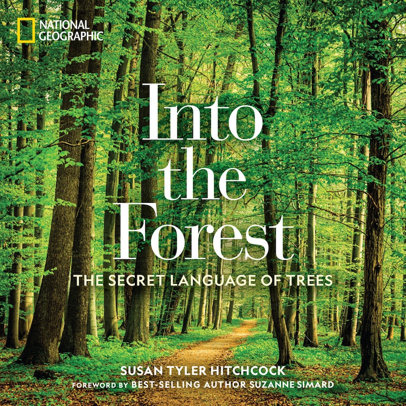 Front cover_Into The Forest