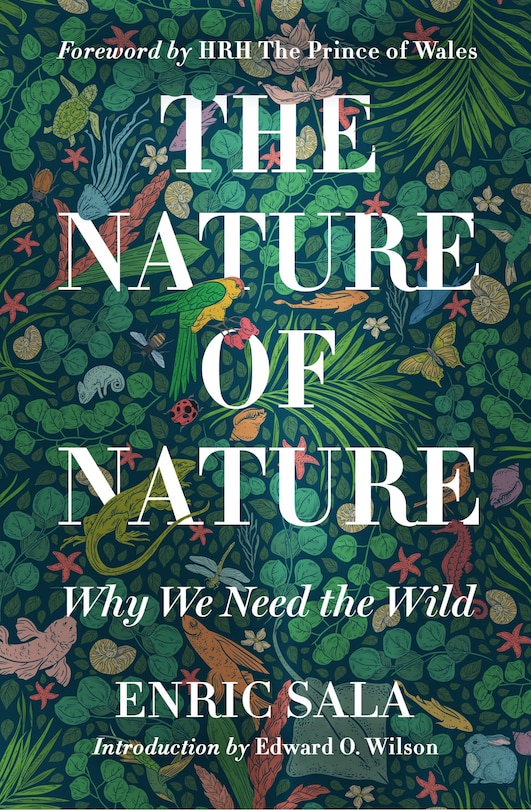 Front cover_The Nature Of Nature