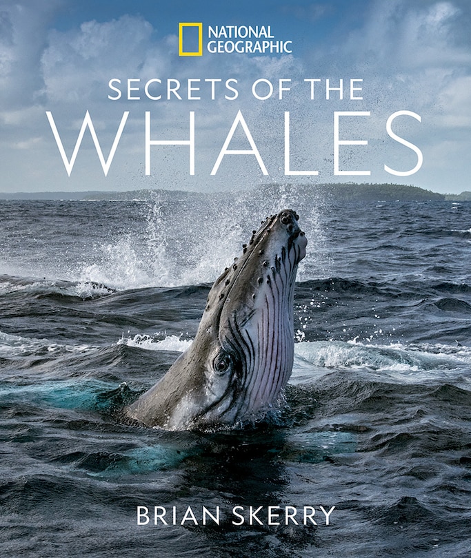 Front cover_Secrets Of The Whales