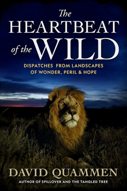 Front cover_HEARTBEAT OF THE WILD