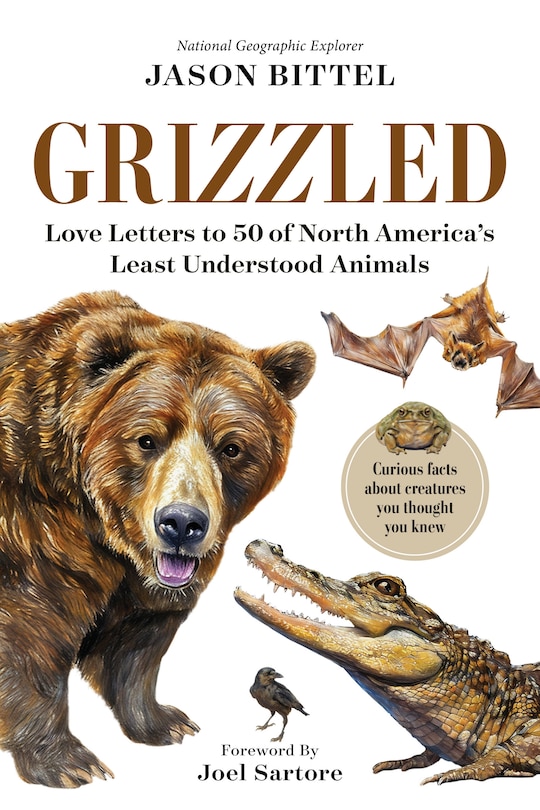 Front cover_Grizzled