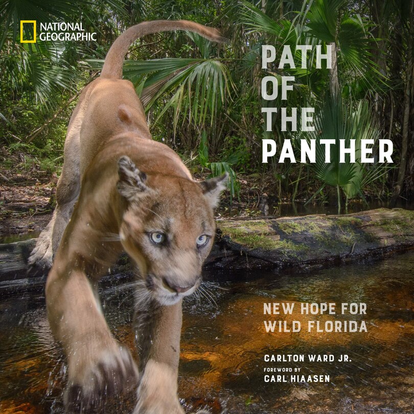 Couverture_Path of the Panther