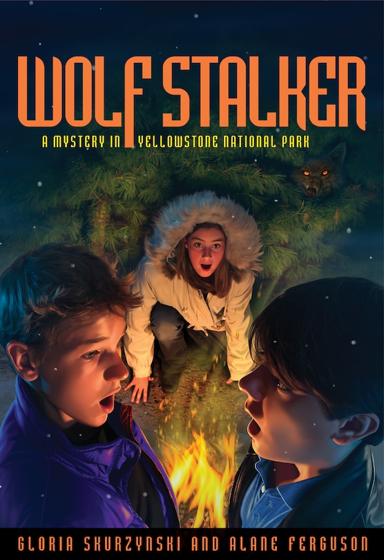 Front cover_Mysteries in Our National Parks: Wolf Stalker