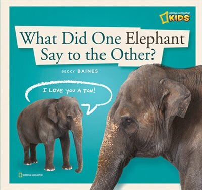 Front cover_Zigzag: What Did One Elephant Say To The Other?