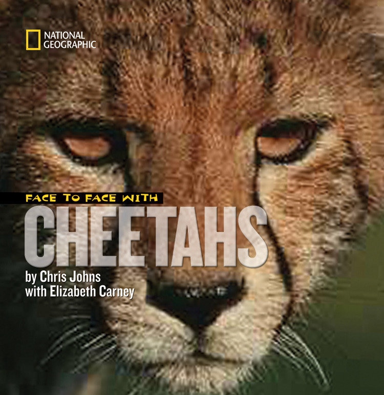 Front cover_Face To Face With Cheetahs