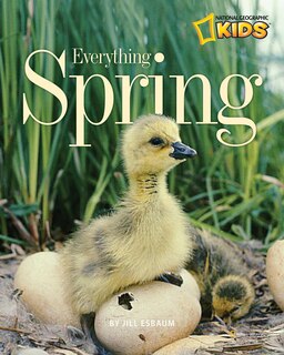 Front cover_Everything Spring