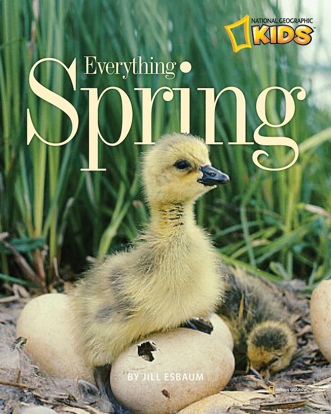 Front cover_Everything Spring