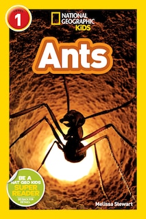 Front cover_Ants (National Geographic Kids Readers, Level 1)