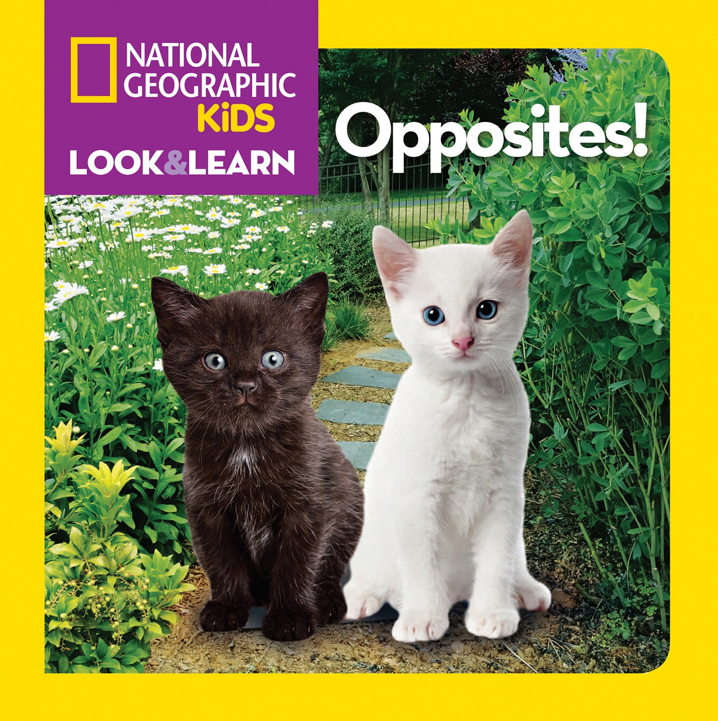 National Geographic Kids レベル1,2,3 National Geographic Kids レベル1,2,3
