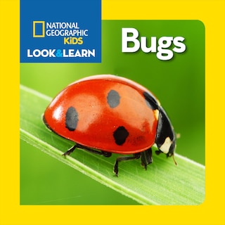 Front cover_National Geographic Kids Look And Learn: Bugs