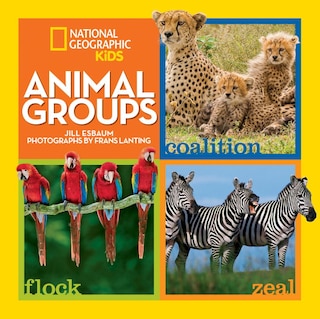 Couverture_Animal Groups