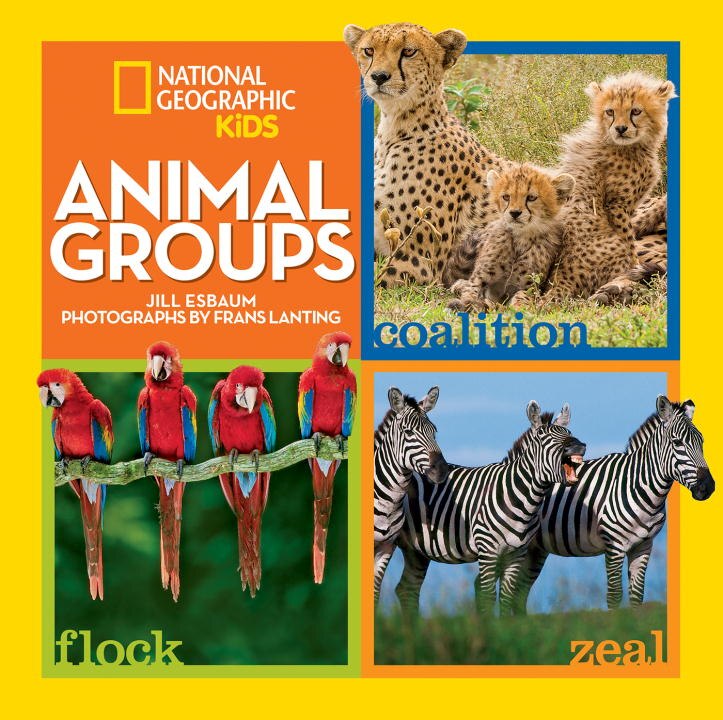 Couverture_Animal Groups