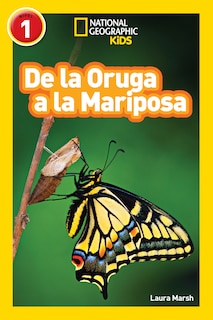 Couverture_National Geographic Readers: De La Oruga A La Mariposa (caterpillar To Butterfly)