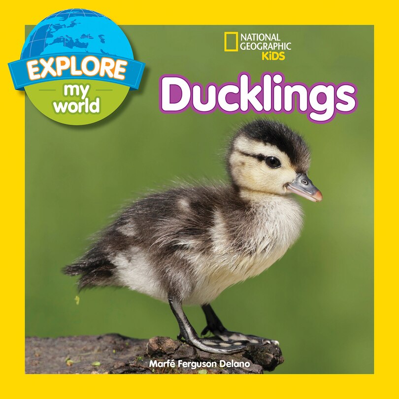 Front cover_Explore My World: Ducklings