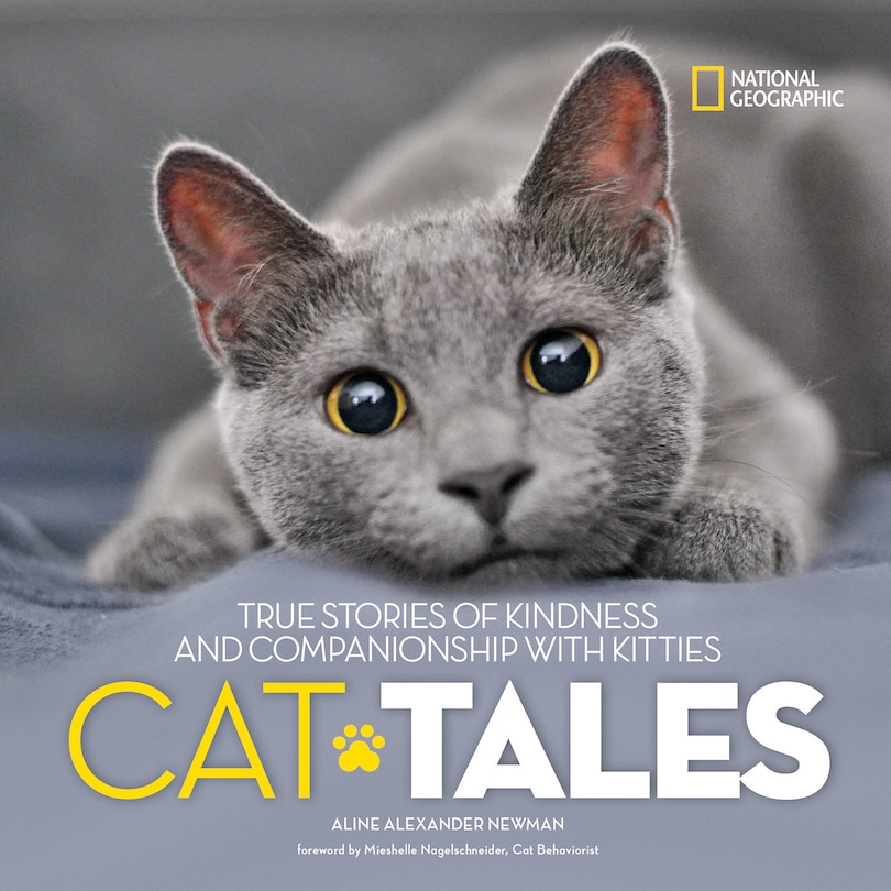 Front cover_Cat Tales