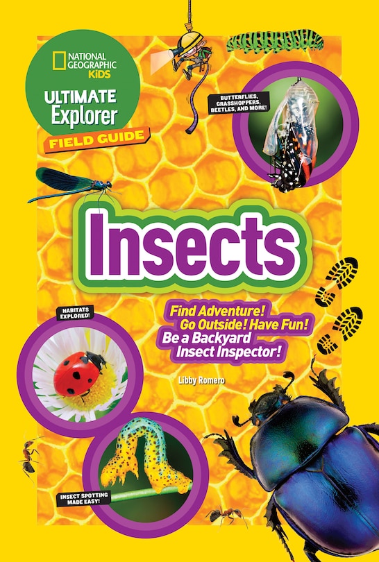 Front cover_Ultimate Explorer Field Guide: Insects