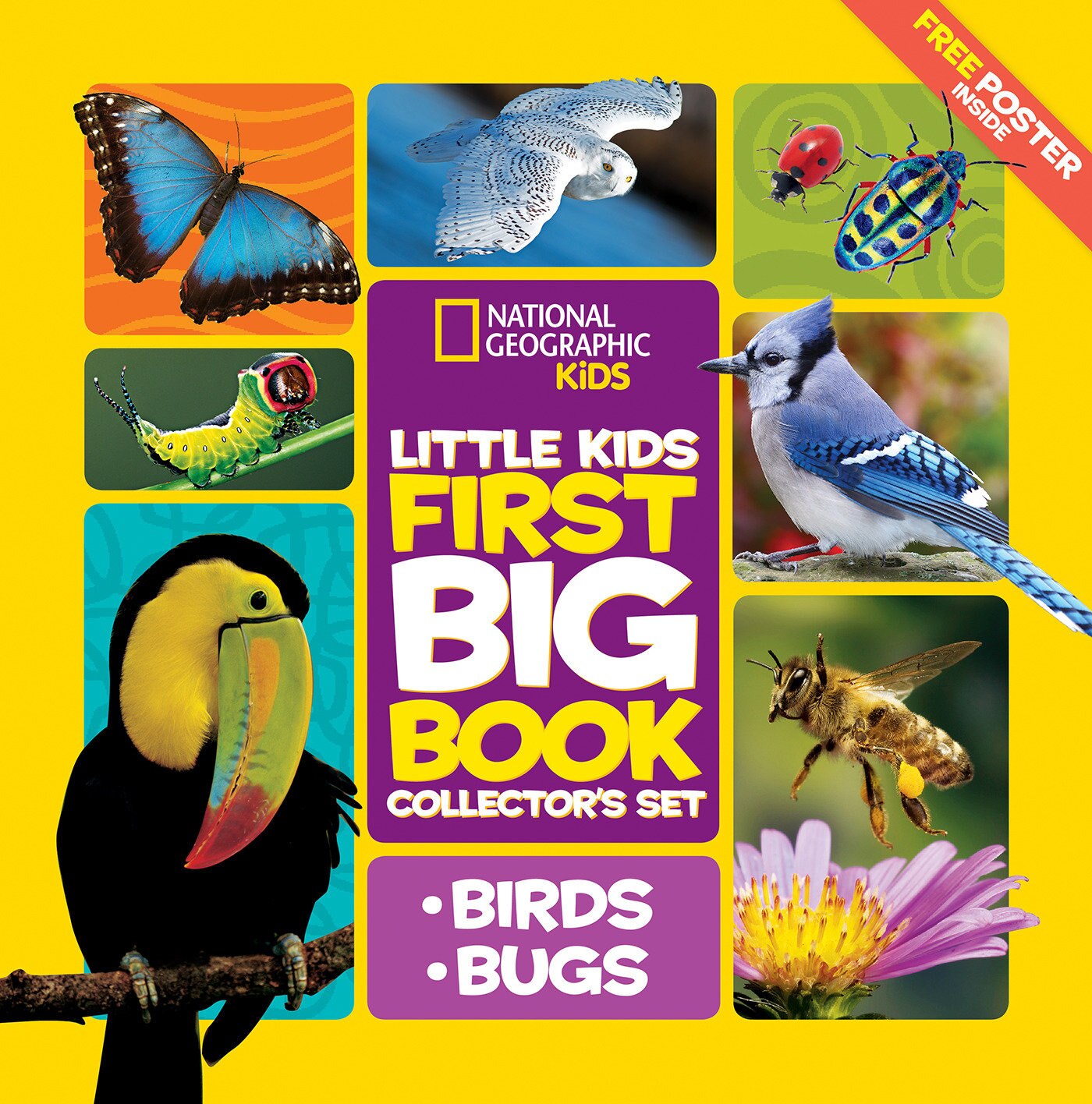 Little Kids First Big Book シリーズ4冊セット National Geographic Little Kids First Big Book Collector's
